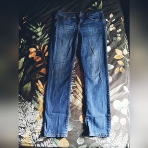 Aeropostale Skinny Jeans